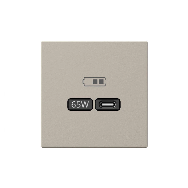 Розетка 2-м USB зарядка СП серия FD тип A+C 65Вт 220-240В 50-60Мгц механизм сахара Jasmart FD6065SH