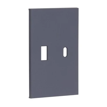 USB+type с накладкой 2-ух модульная цвет-Грифель матовый MEITON AL12C