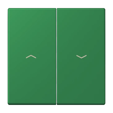 Кнопка без фиксации 2 группы, с символом «стрелки», vert foncé (32050)