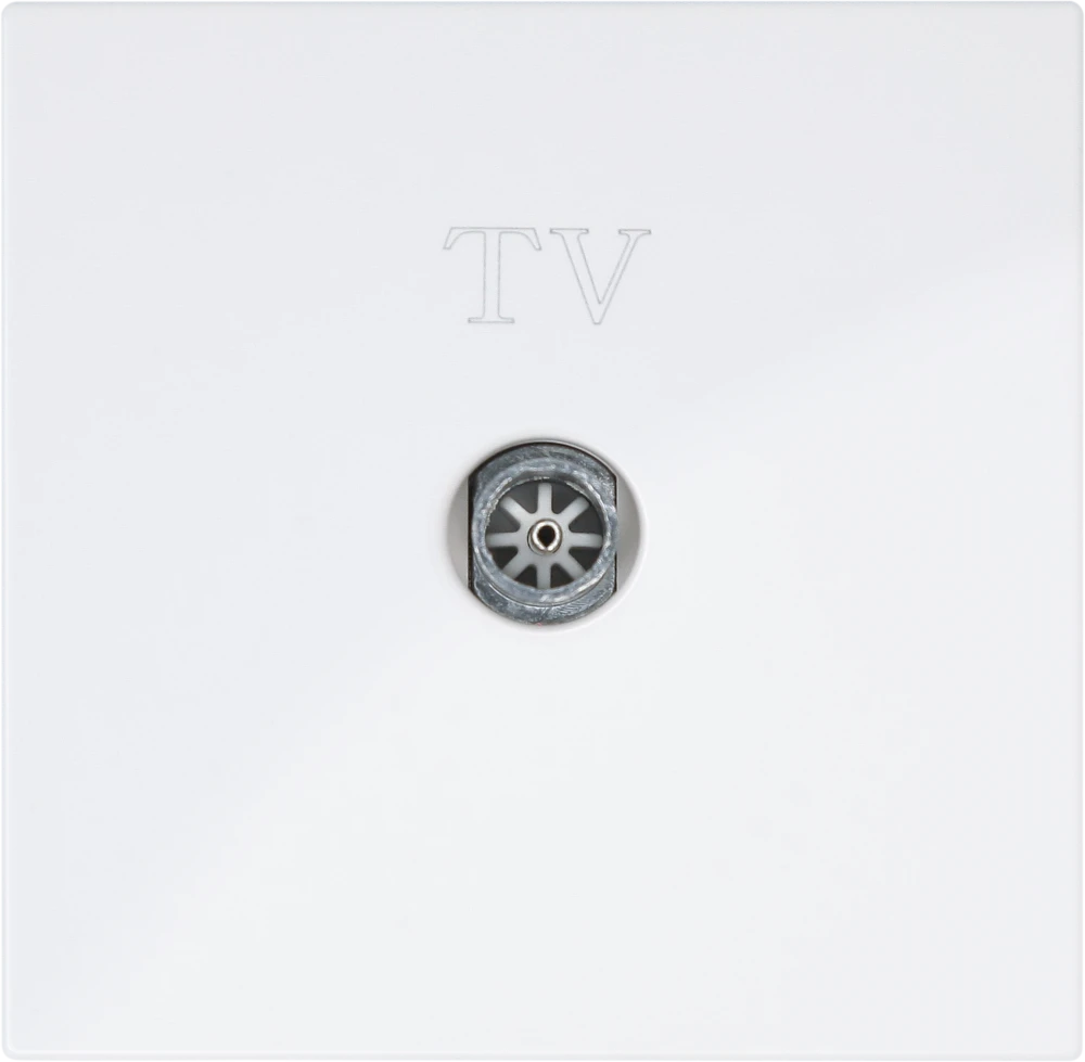 TV-розетка Jasmart TV в цвете «Белый глянцевый»